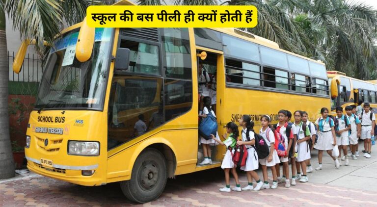 स्कूल की बस पीली